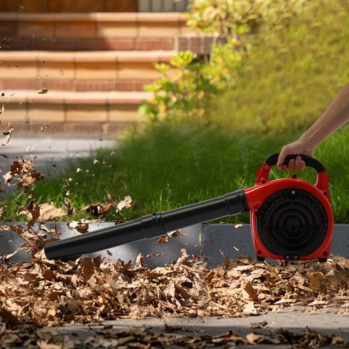Leaf blower with collection - with,